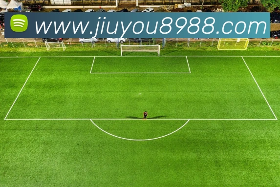 九游官方入口发展历程